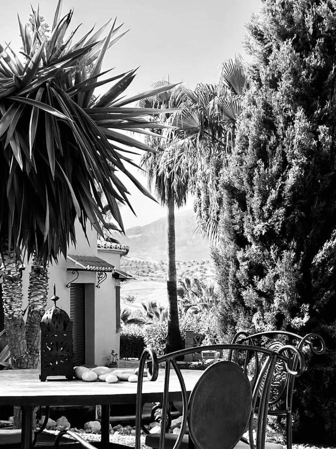 Premium Bed & Breakfast Casa Alegria Andaluza Los Romanes Exteriör bild